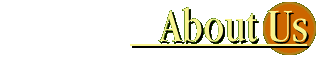 About our Company